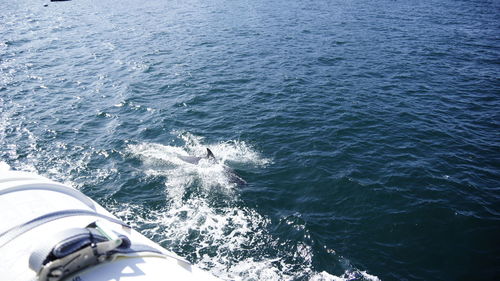 High angle view of boat in sea