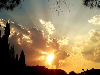 Low angle view of silhouette trees against sky during sunset