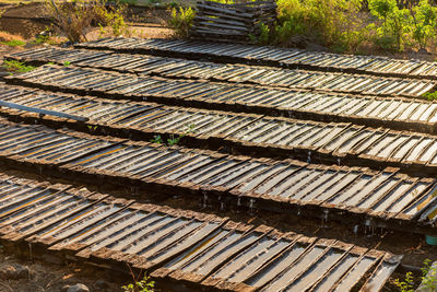 High angle view of roof tiles in forest