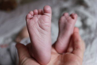 Close-up of person hand holding baby feet at home