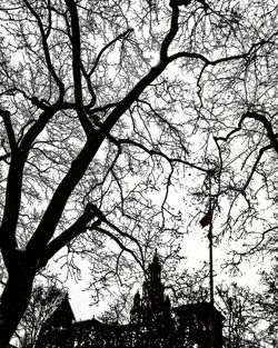 Low angle view of silhouette trees against sky