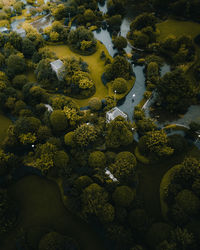 High angle view of plants