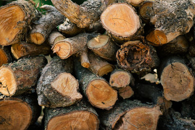 Full frame shot of logs 