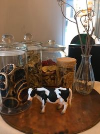 Close-up of dog in jar on table