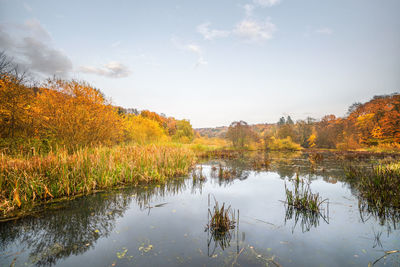 Scenic view of lake by trees against sky during autumn