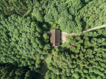 Aerial view of cottage amidst green trees