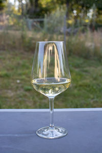 Close-up of wine glass on table