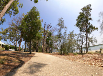 Road amidst trees against sky