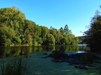 Scenic view of lake against clear blue sky
