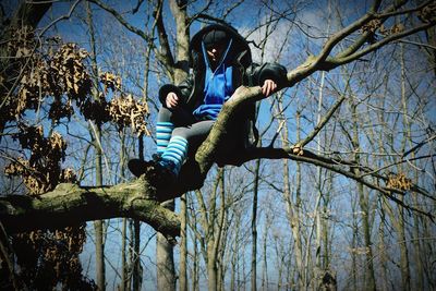 Low angle view of men on bare tree against sky