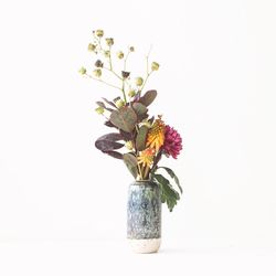 Close-up of flowers over white background