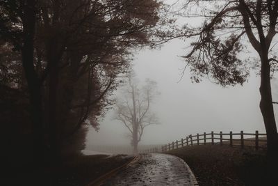Road by trees against sky during winter