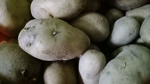 Close-up of fruits