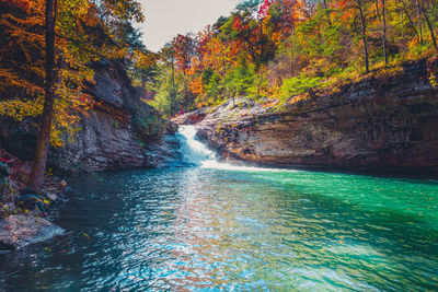 Scenic view of waterfall in forest during autumn