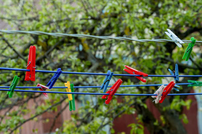 Close-up of colorful clothespins hanging on clotheslines against trees