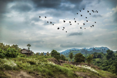 Scenic view of mountains against birds flying in cloudy sky