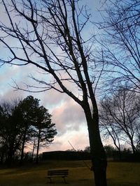 Bare trees on landscape against sky