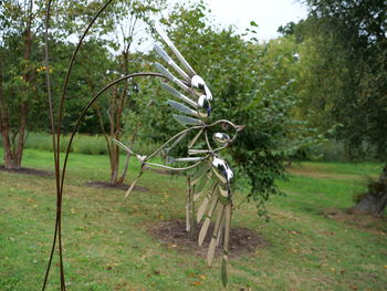 Fence on field against trees in forest