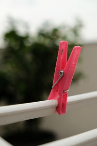 Close-up of pink clothespins on window