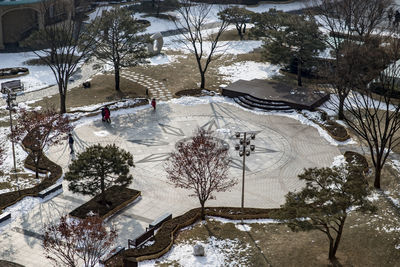 High angle view of frozen trees on landscape