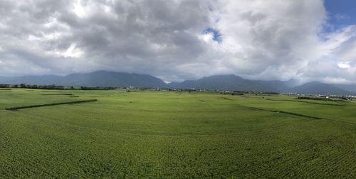 Scenic view of field against sky