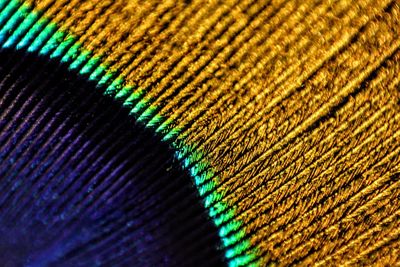 Close-up of multi colored pencils