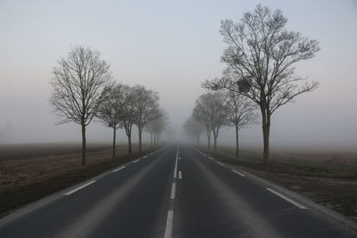 Road amidst trees against clear sky