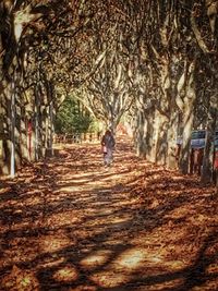 Woman walking on footpath