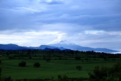 Scenic view of field against sky