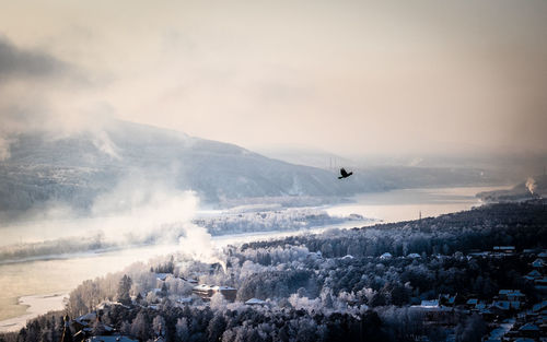 Bird flying over town and trees