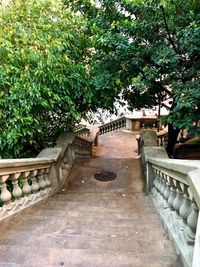 Plants and trees in park