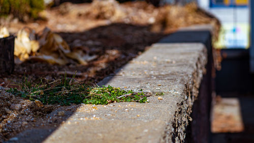 Surface level of road on field