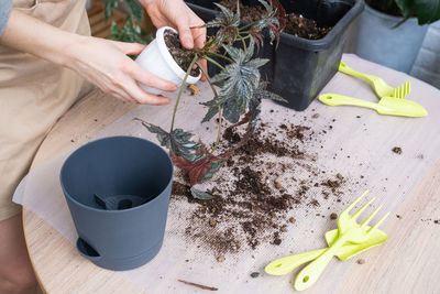 High angle view of hand holding potted plant