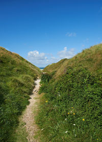 Scenic view of landscape against clear blue sky