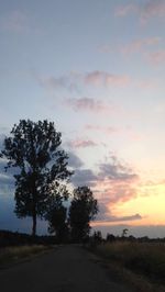 Silhouette trees on field against sky during sunset