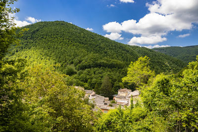 Scenic view of trees and buildings against sky