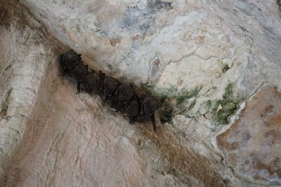 High angle view of rock formation