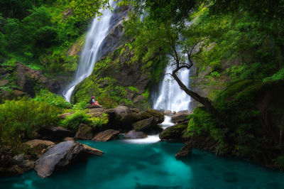 Scenic view of waterfall at forest