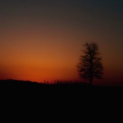 Silhouette trees on landscape against clear sky at sunset