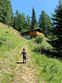 Rear view of man walking on field