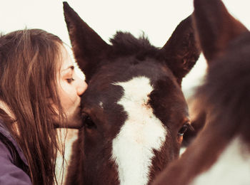 Close-up of woman kissing horse