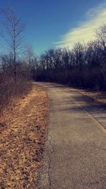 Road amidst bare trees against sky