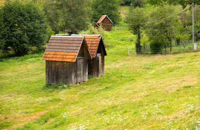 Log cabin on field in forest