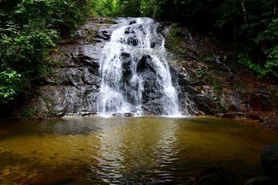 Scenic view of waterfall in forest