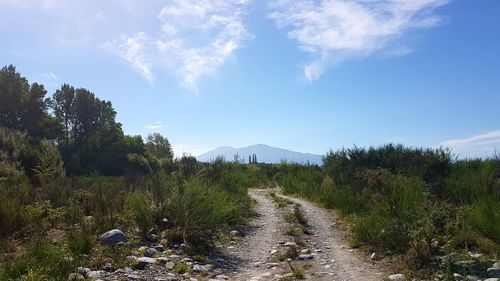 Scenic view of landscape against sky