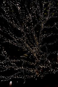 Close-up of illuminated lights in dark