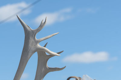 Low angle view of antlers against sky