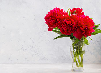 Vase with beautiful magenta peonies flowers on table against light grey wall. copy space for text.