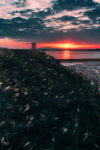 Scenic view of sea against sky during sunset