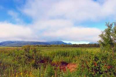 Scenic view of field against cloudy sky